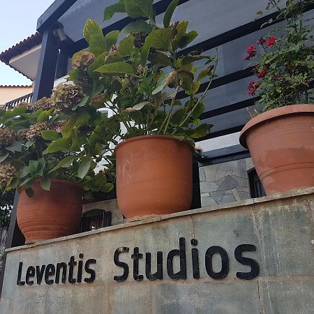 Leventis Studios การ์โลวาซี ภายนอก รูปภาพ